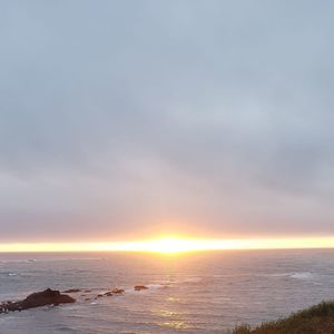 Meet your Posher, Peter